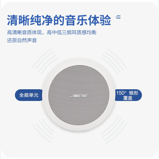 BOSE博士吸顶音响套装 家庭影院 背景音乐喇叭组合嵌入式吸顶音箱 FS2C四只+IZA190-HZ功放