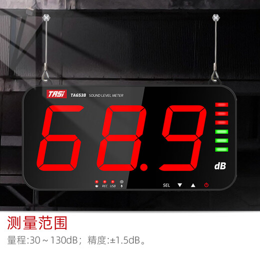 特安斯 大屏幕噪音测试仪 壁挂式分贝仪 高精度环境噪声检测仪报警器 TA653B【数据存储+电脑通讯】