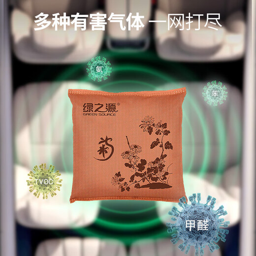绿之源汽车活性炭包新车除甲醛除异味竹炭包 专用除臭车载净化500g*4包
