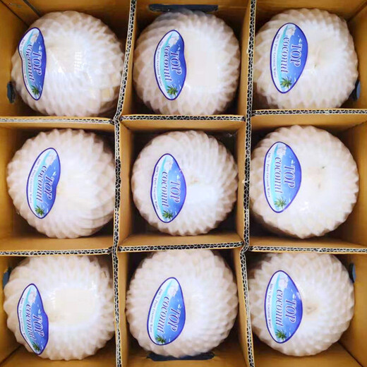 Pinzan Thai Green Coconut 9 single fruits net weight 900g-1000g large coconut fresh fruit