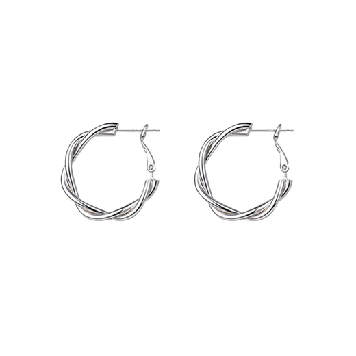 Bai Qixin earrings for women, exquisite twist earrings, earrings for women, light luxury, high-end, simple and versatile metal hoop earrings, a pair of twist earrings