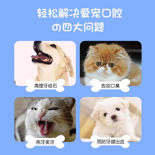 Food grade toothpaste, pet toothpaste to remove bad breath, edible cat and dog toothbrush care products, pet toothpaste-beef flavor 70g-1 box