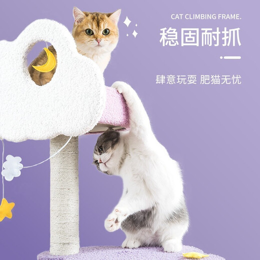 Bold and high-end large cat nest cat climbing frame summer pet cat toy cat scratching board cat climbing tree cat scratching board cat jumping platform cat star point lonely cloud (three-layer model with 2 jumping platform + teasing cat ball)