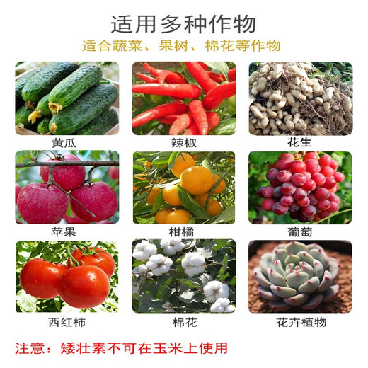 Guoguang Chymequat 50% Suppressant Vegetables, Fruits, Trees and Wheat Prevent Crazy Growth and Control Plant Growth Regulator 100ml