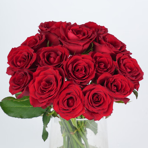 Jingdong Flowers Roses Red Roses 10 Ruyi Base Fresh-cut Flowers Water-raised Flower Arrangements Life Bouquets Gifts Straight from the Source