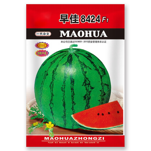 Planting Notes: Kirin Watermelon Seeds Zaojia 8424 has beautiful fruit shape, sweet flesh, thin and crispy skin, Jinmeidu Seeds Zaojia 8424 5g/bag (about 90 pieces)