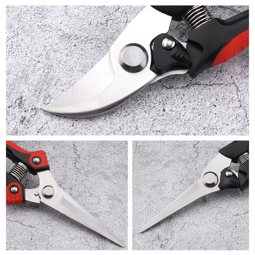 Flowers and scissors, sparse flowers, fruits and scissors, floral scissors, household flowering scissors, pruning scissors, gardening scissors, grapes, round style #T9853