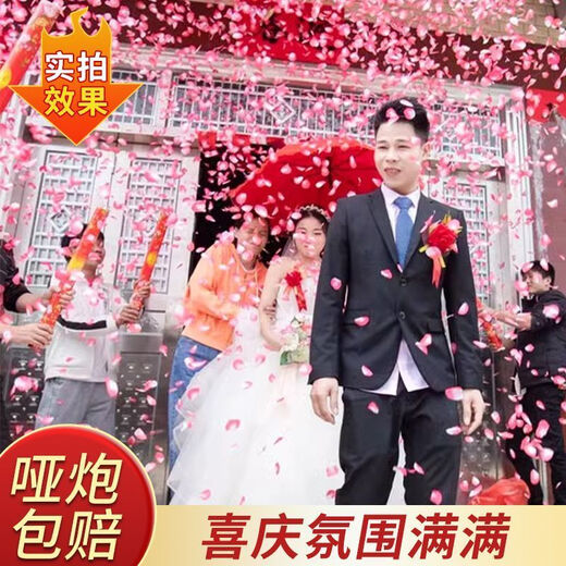 【婚礼爆款8000片】礼花结婚花瓣雨结婚礼炮喷花筒手持彩炮礼花筒 55cm【粉色玫瑰】花瓣 【1根】