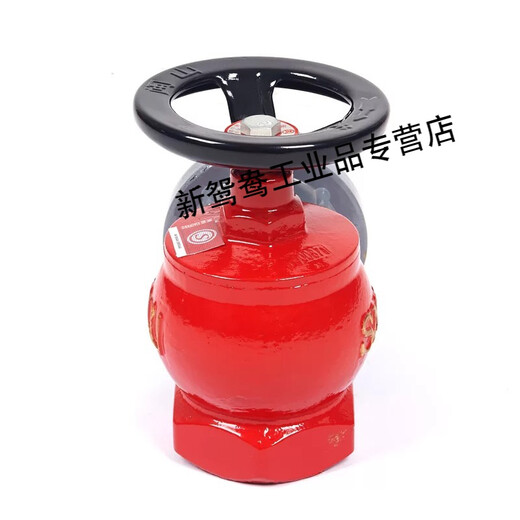Indoor fire hydrant hose valve SN65 three copper faucet 2.5 inch Fujian mountain plug SNW65 pressure reducing and stabilizing plug