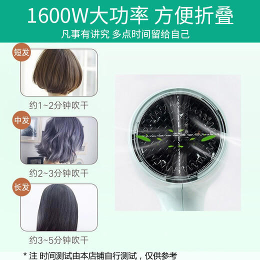 Panasonic Hair Dryer Home Hair Care High Power Hair Dryer Student Dormitory Mini Hot and Cold Hair Dryer for Children Birthday Gift for Boyfriend and Girlfriend WND2G 1600W Constant Temperature Hair Care