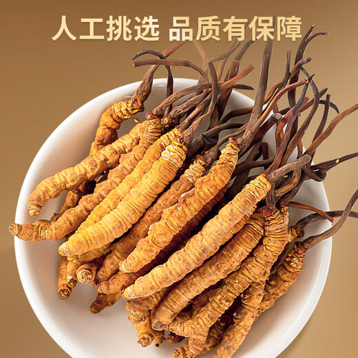 Lei Yun Shang Cordyceps sinensis 3.2 Roots/G 10g Alrededor de 32 cajas de regalo Cordyceps Cajas de regalo para el líder y los ancianos