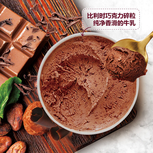 Haagen-Dazs Belgian chocolate ice cream 473ml