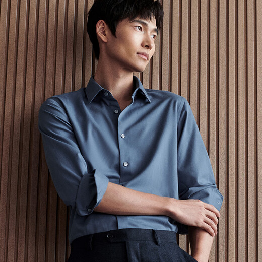 Angel Bird formal long-sleeved shirt men's machine washable wool men's long-sleeved shirt formal business casual shirt men's Walan 40 (175/92)