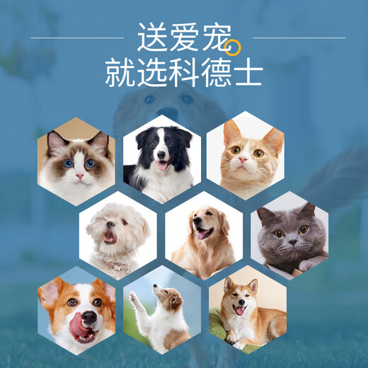 Codos pet shaver, dog hair clipper, dog hair clipper, cat hair clipper, large and small dog supplies 9200, package four, standard + 3.2mm blade