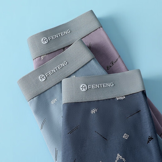 Sous-vêtements Fenten Men pour hommes 7A Antibactériens à 3 paires Pur Coton Imprimé mince Boxer Mid-Waist