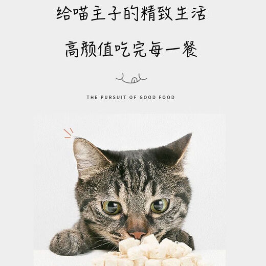 Naughty nest cat bowl with high legs and neck protection, double bowl fixed frame to prevent overturning pet cat and dog food bowl and water bowl, tilt to protect cervical vertebra, pretty powder, anti-black chin, gold frame + anti-slip pad, two bowls