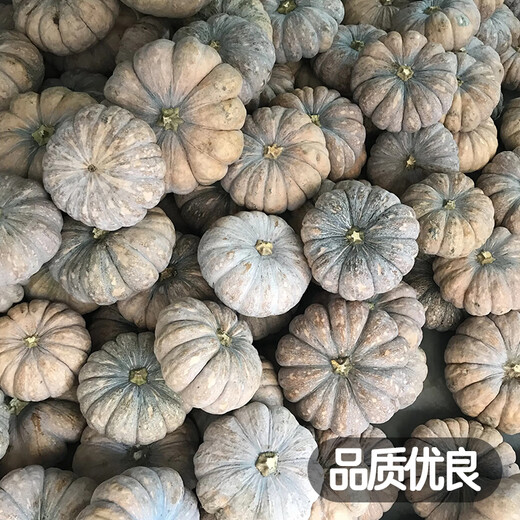 Fengming Yashi Farmhouse Mopan Pumpkin Seeds Large Pumpkin Seeds Jingxiang Honey Pumpkin Seeds 20 capsules
