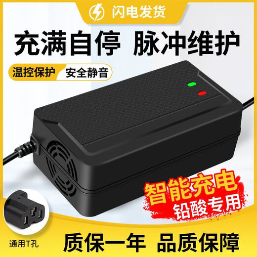 桐汝壁超威通用两轮三轮电动车电瓶车充电器4860729620AH 充满自停款 4840AH通用T孔