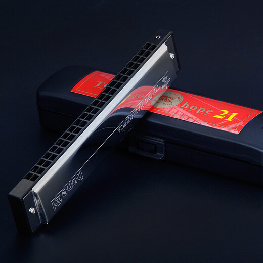 
TOMBO Tongbao 6624P pure harmonica hope 24 hole polyphonic set A B C D E F G Monotone 24 hole A tune