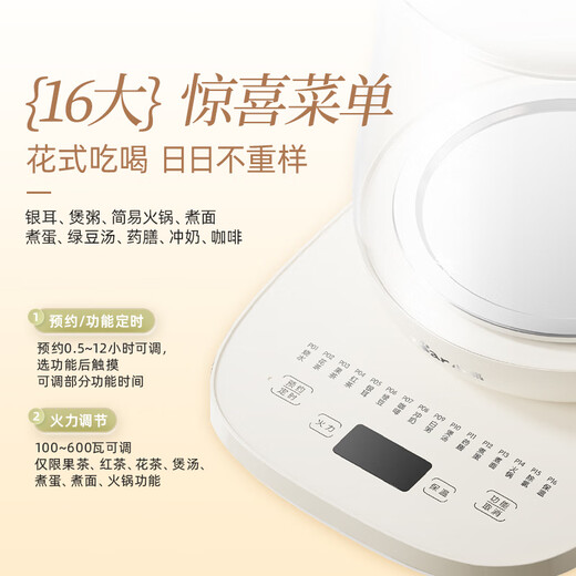 Bear Health Kettle, Tea Kettle, Tea Maker, Thermostatic Kettle, Intelligent Insulation, Large Capacity with Filter, Glass Maternal and Child Grade Material, Stew, Tea, and Boil Kettle, 16 Functions + Filter YSH-F15C1 1.5L