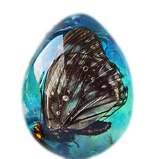 Huilu Insect Amber Pendant Natural Butterfly Specimen Insect Amber Necklace With Insect Animal Pendant Made Fashion Creative Single Side Polished Ocean Blue Scorpion With Lanyard