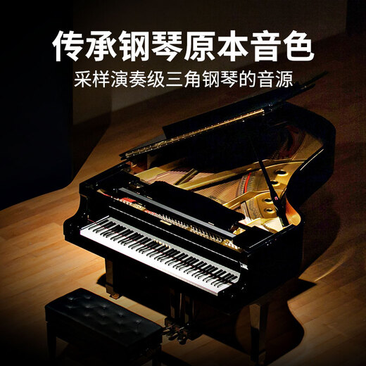 Terrence hand-rolled piano portable 88-key professional version thickened arranger keyboard adult pocket electronic piano HQA88 88-key black smart version