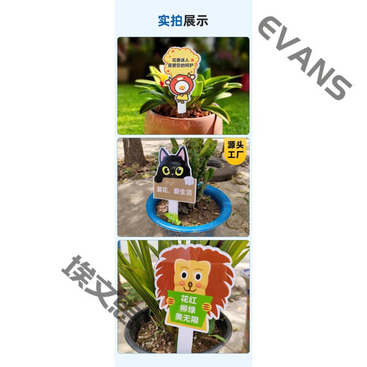 Xushansi Kindergarten Simulation Pot Brand Gardening Simulation Flower Pot Simulation Label Signage Succulent Care Brand DIY Handmade YHCD-04 10x16cm