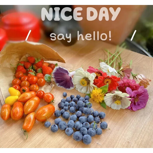 Imported Sweet Million Sweet Appetizer Small Cherry Cherry Tomato Large Tomato Dwarf Tomato Seeds American Super Sweet Millennium 20-30 F1 F1 High Yield