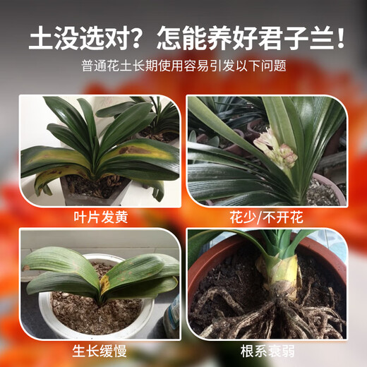 Devodo Clivia special plant nutrient soil 15L (9 in 1) gardening green plant flower soil planting