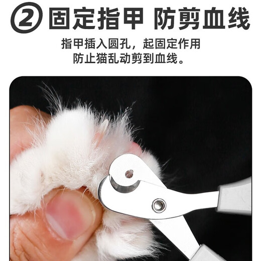 Long pet anti-cut small blind scissors cat nail clipper special pet cat small round hole novice nail clipper nail clipper small blind scissors orange and white
