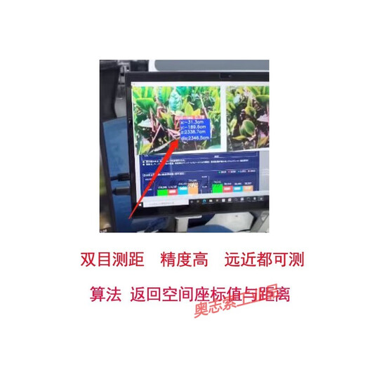 USB binocular camera module depth camera face recognition camera infrared living body detection ranging module face recognition SDK a terminal