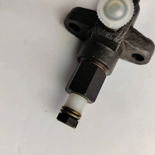 Changchai Moteur à cylindre 1115 Assemblage d'injecteur de carburant Injecteur de carburant Motor diesel 1105 Injecteur de carburant Xinya Heze Yangzhou 1105