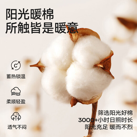 Catman, no need to wear underwear, no crotch sticking, men's pure cotton thermal pants, autumn pants, men's seamless autumn and winter cold-resistant line pants for men