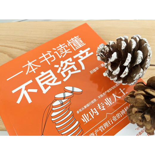 A book to understand non-performing assets (jointly recommended by Wang Wei, Mao Daqing, Ye Tan, Shu Zhongsheng, Zeng Gang, and Chen Daofu)