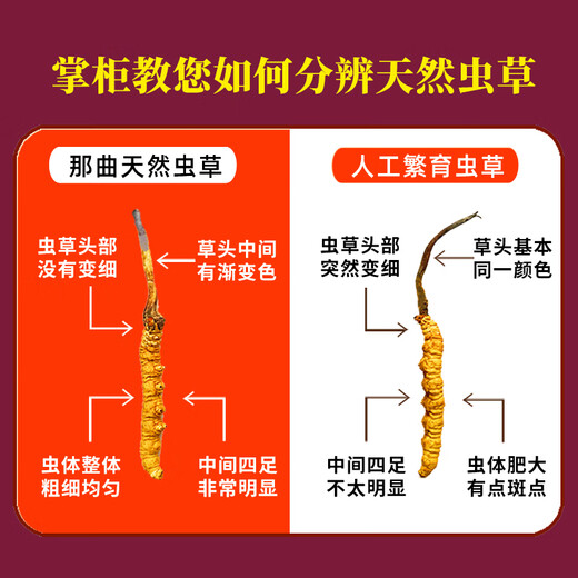 东仔【西藏那曲】野生冬虫夏草高海拔野生虫草断草滋补品礼盒送长辈 【西藏那曲野生】小号断草-自用滋补 5克（礼盒装）