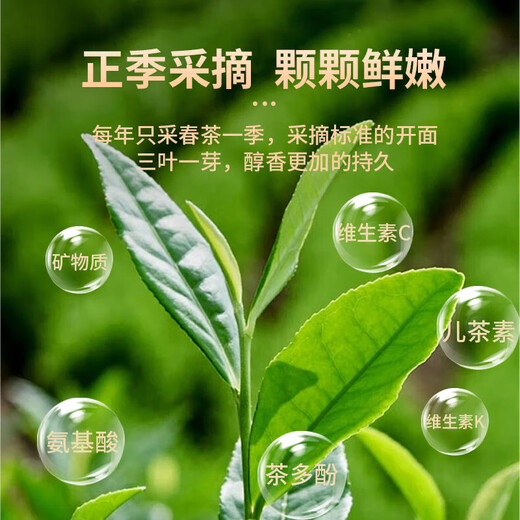 传奇会乌龙茶 武夷岩茶 肉桂 特级500g 中火礼盒装大红袍茶叶送礼礼品