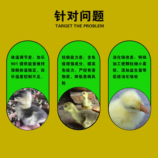 Tangrenshen Jiale 901 early stage feed for goslings, goose opening feed, no hormones, good absorption, anti-gout and high nutrition. Jiale 901 (40Jin Jin is equal to 0.5kg trial pack)