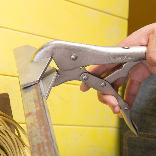 Deli Power Pliers 10-inch Folding Power Pliers Iron Pliers Welding Pliers Flat Pliers Flat Mouth Power Pliers DL20016