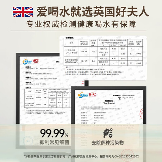 Taste of Life Good Lady British Good Lady Desktop Instant Hot Water Dispenser Filter Water Purifier Household Pure Drink Direct Drinking Machine Heating All-in-One Desktop Instant Hot Water Dispenser Small Mini Quick-heat Portable Standard Dual Display 3-liter Water Dispenser Green Anti-bacterial Water Tank Instant Hot Type