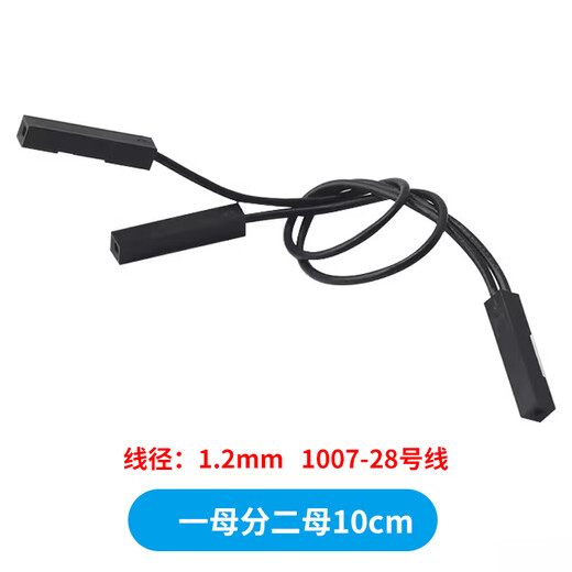 DuPont terminal wire DuPont 2.54 connecting wire DuPont 2Pin 28AWG one to two wires one female to two male one female to two female 10cm