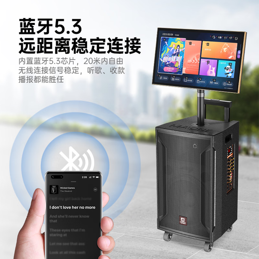 Manlong square dance audio high-power wireless microphone bluetooth musical instrument internet celebrity live broadcast mobile outdoor high-end karaoke machine singing trolley speaker W-15S audio dual microphone + gift package