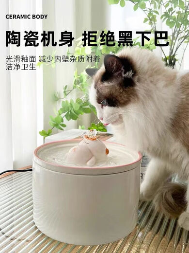 Rafxin's latest ceramic pet cat and dog water fountain, automatic constant temperature, intelligent cycle water feeding, cartoon cat bowl, charging swimming cat (large size)
