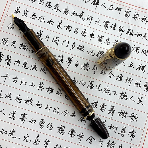 永生699钢笔负压上墨铱金笔大容量大明尖0.5f尖新品 半透黑金夹(实色笔握) F尖0.5mm