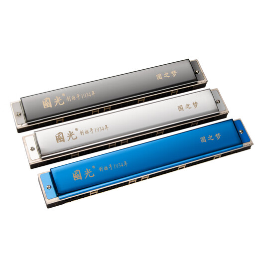 Guoguang harmonica Performance Niveau 28 trous Stress C-Tuning pour les débutants adultes Men et femmes polyphoniques Autody (SF Express) Athènes Black [Send Blowing Method + Tissu