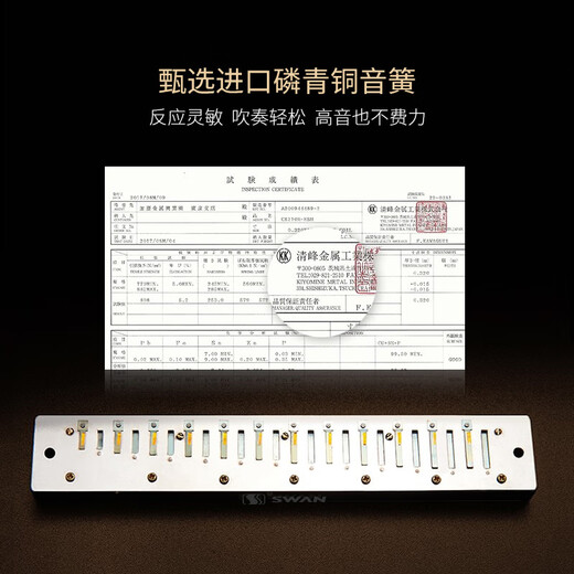 天鹅（SWAN）口琴初学者成人学生专业演奏级进口音簧复音高级儿童乐器 28孔银色复音C调