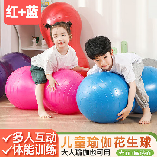 Lierui Yoga Ball Peanut Ball Children's Sensory Training Equipment Balanced Dalong Fitness Ball Pregnant Women's Massage Home Explosion-proof Blue Peanut Ball + Air Bucket