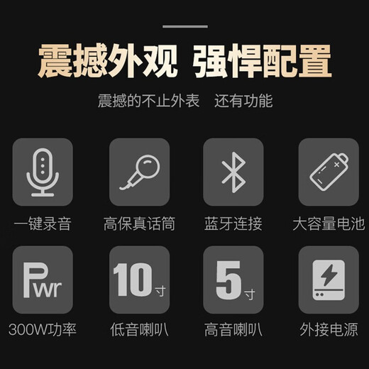 Songchuan International SA1 outdoor audio square dance high-power high-volume wooden mobile portable trolley Bluetooth subwoofer karaoke speaker with microphone store stall selling amplification SA1-10 inch square dance speaker + 1 wireless microphone