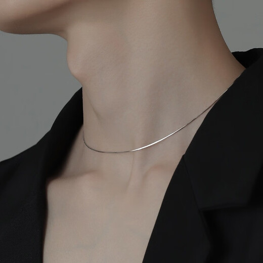 Austantin (hervorragend) S925 Silber Schlange Knochen Halskette für Männer High -End -vielseitige trendige Claviloin -Kette Valentinstag Geschenk für den Freund des Freundes Ehemann S925 Silber Schlange Knochenkette Silber - Original Brand Geschenkbox Single Single Single Single