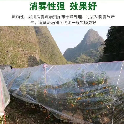 Left card full roll transparent thickened plastic tarpaulin greenhouse film paper cover rainproof agricultural dustproof moisture insulation window sealing packaging 12 wires transparent thickened type commonly used type 3 meters wide 130 meters long full roll