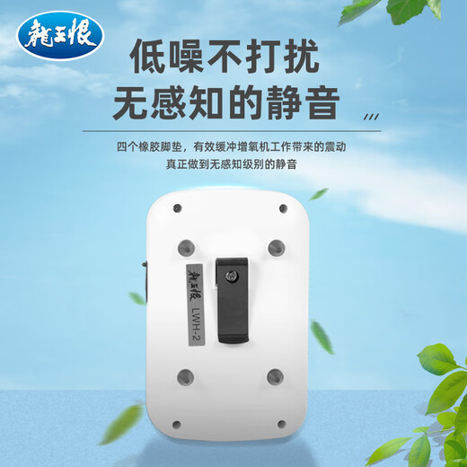 Dragon King Hates Oxygen Pump Silent Large Volume Oxygen Pump Outdoor Fishing Aerator LWH-2 Upgraded Double Hole